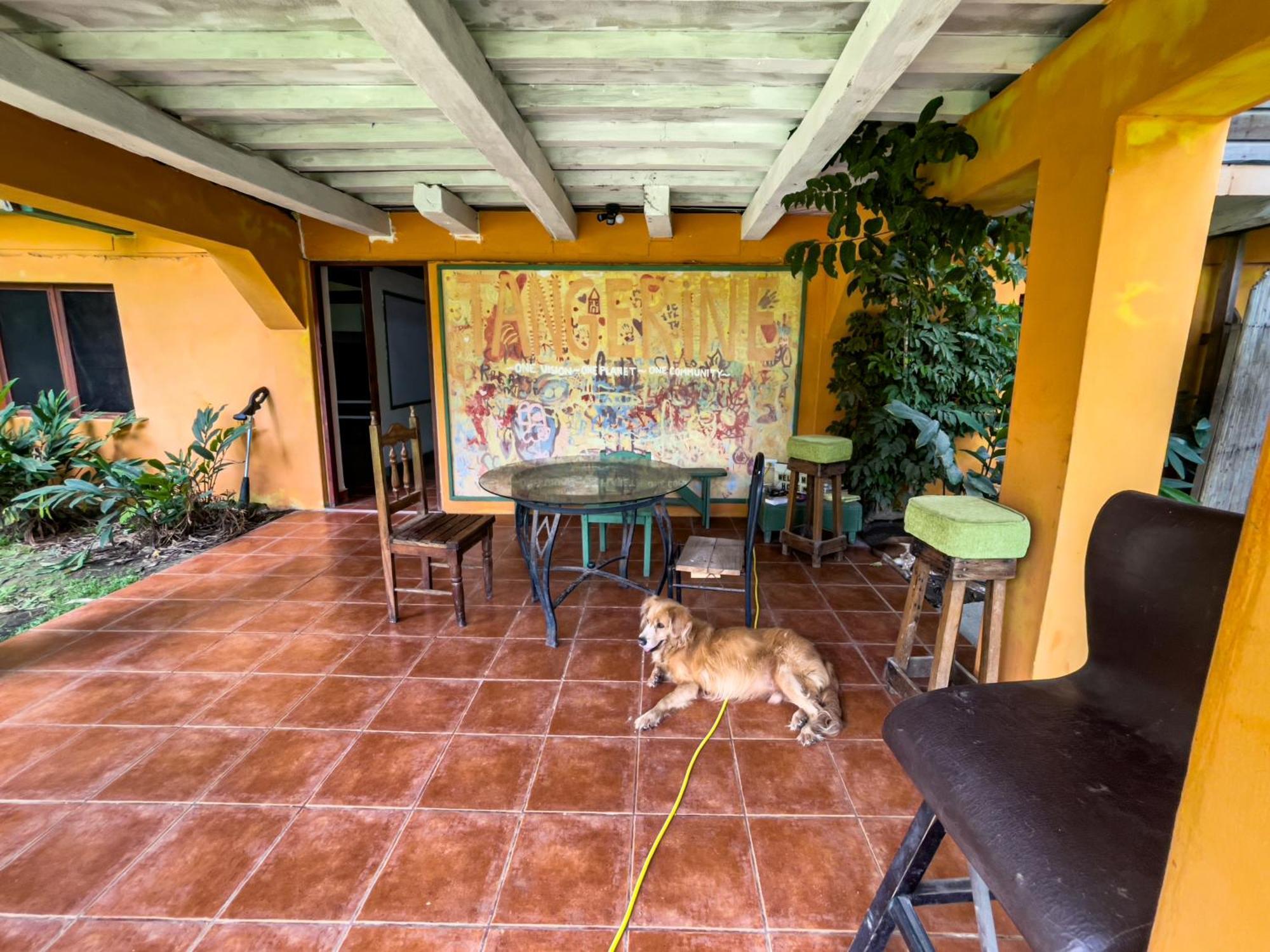 Garden Rooms Bocas del Toro Exterior foto
