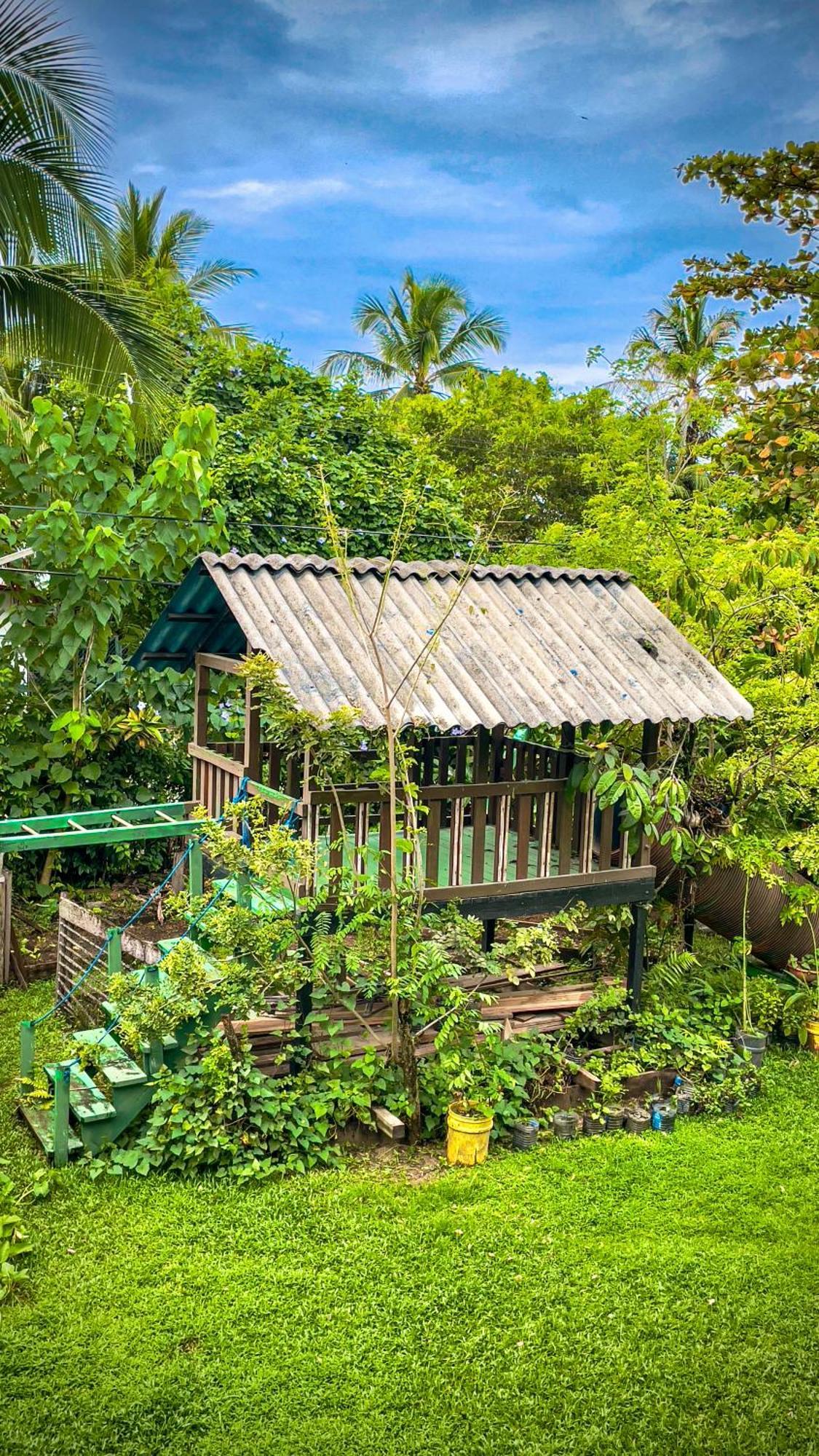 Garden Rooms Bocas del Toro Exterior foto