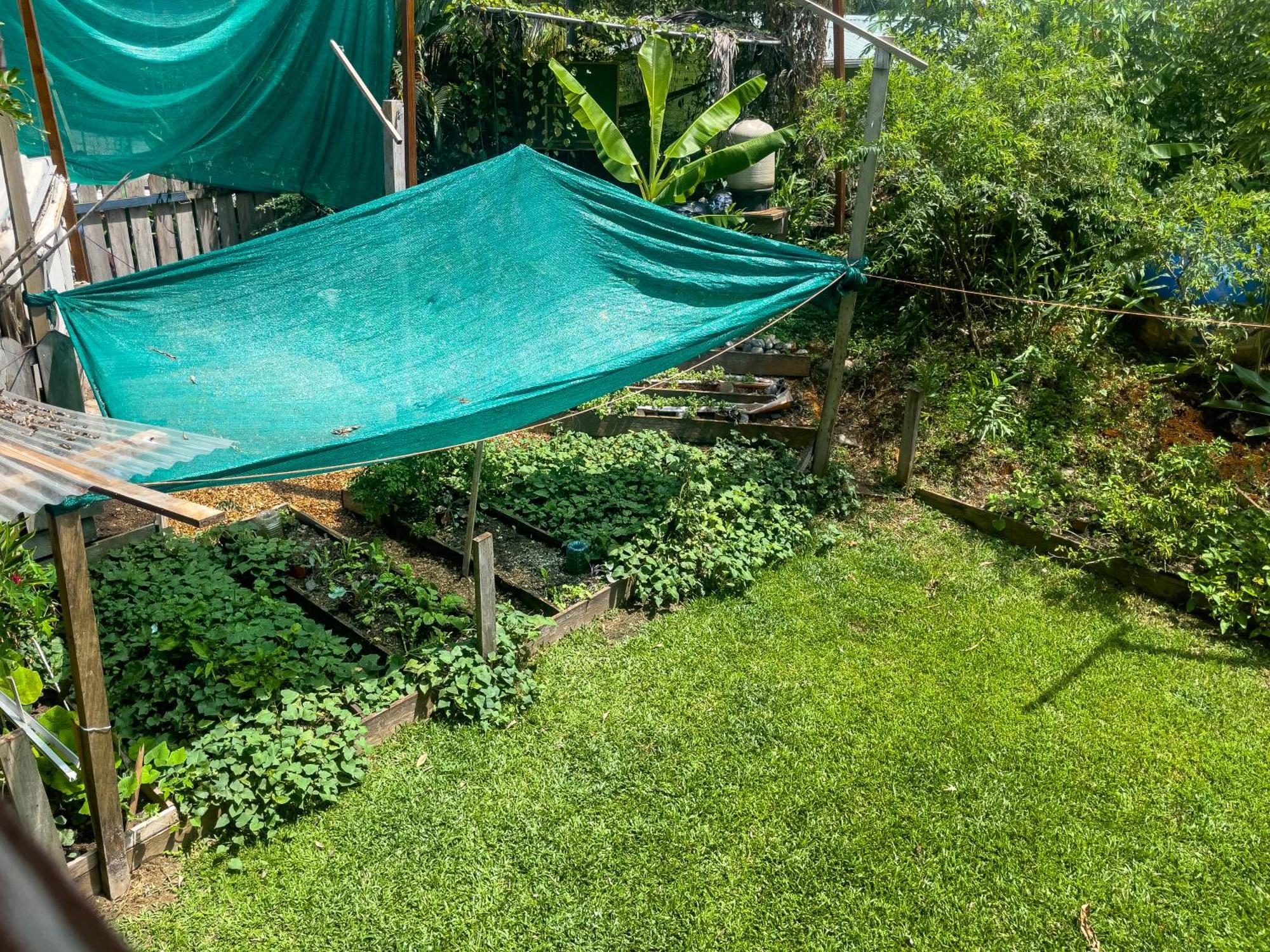 Garden Rooms Bocas del Toro Exterior foto